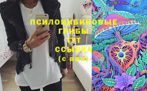 крисы Россошь