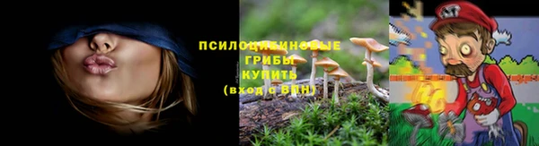 стафф Абдулино