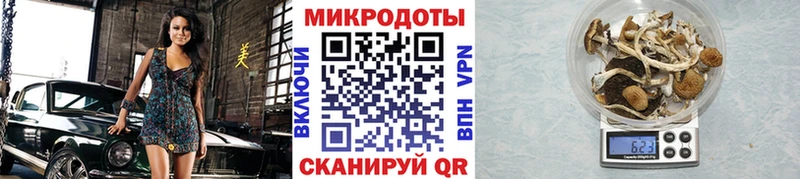 omg сайт  как найти закладки  Новомичуринск  Псилоцибиновые грибы Magic Shrooms 